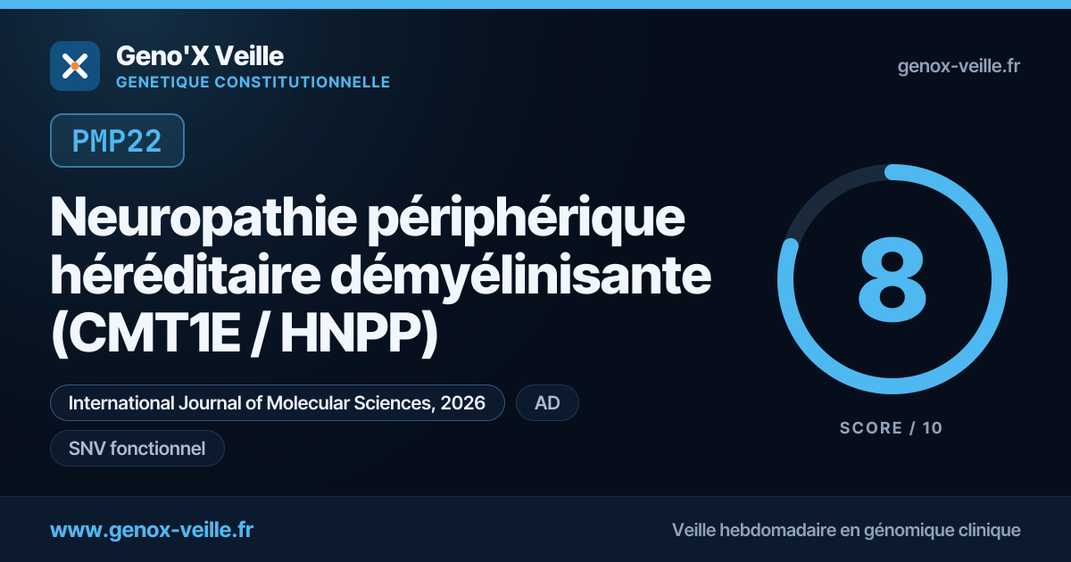 PMP22 — Neuropathie périphérique héréditaire démyélinisante (CMT1E ...